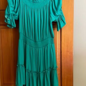 Naked Zebra Vibrant Green Top